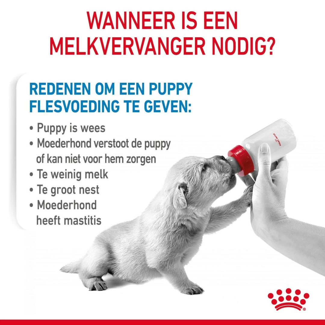 Royal Canin Hondenvoer Babydog Milk 2 Kg 2 Royal Canin Hondenvoer Babydog Milk 2 Kg - Afbeelding 2