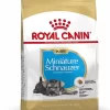 Royal Canin Hondenvoer Mini Schnauzer Puppy 1,5 Kg