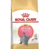 Royal Canin Kattenvoer British Shorthair Kitten 2 Kg