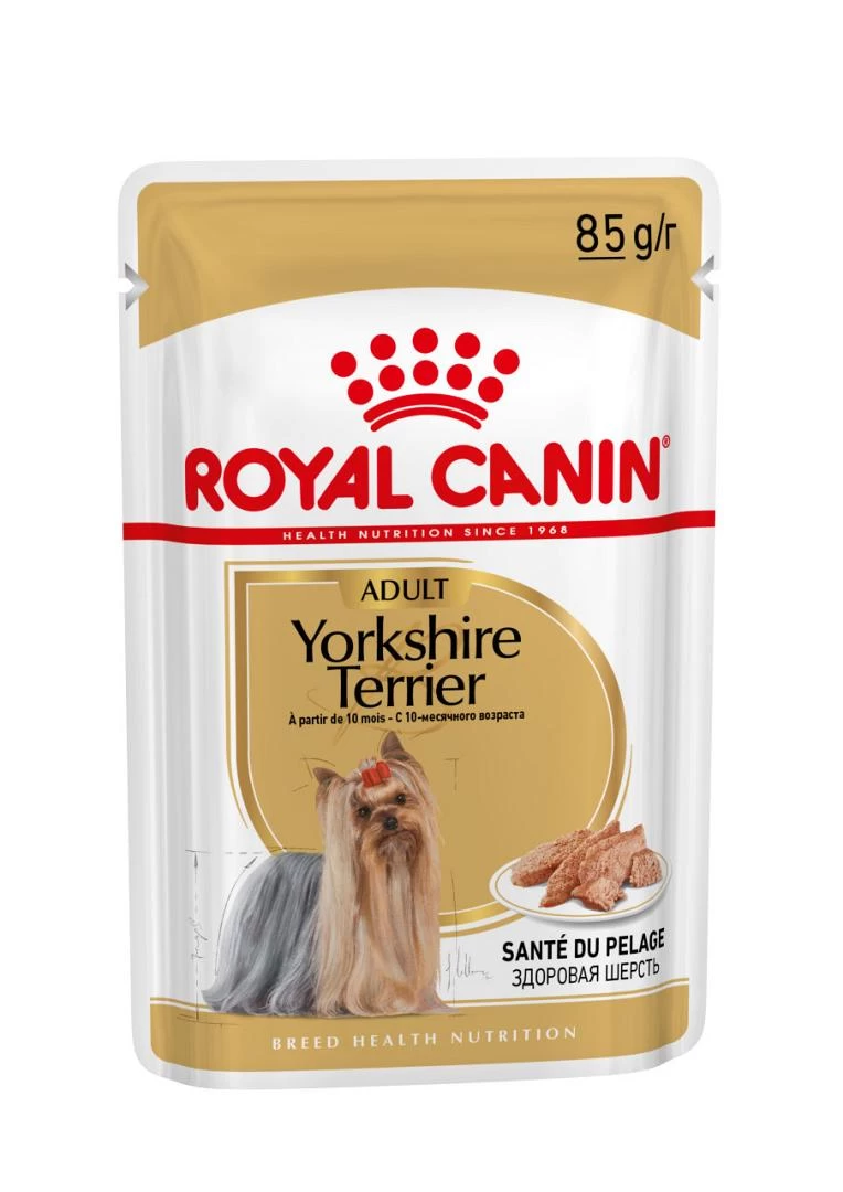 Royal Canin Hondenvoer Yorkshire Terrier Adult 12 X 85 Gr 2 Royal Canin Hondenvoer Yorkshire Terrier Adult 12 X 85 Gr - Afbeelding 2