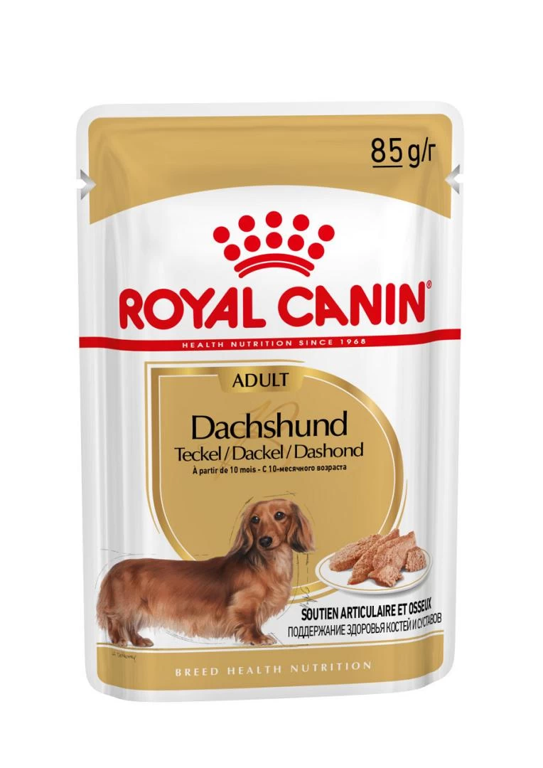 Royal Canin Hondenvoer Dachs-hund Adult 12 X 85 Gr 2 Royal Canin Hondenvoer Dachs-hund Adult 12 X 85 Gr - Afbeelding 2