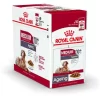 Royal Canin Hondenvoer Medium Ageing 10+ 10 X 140 Gr
