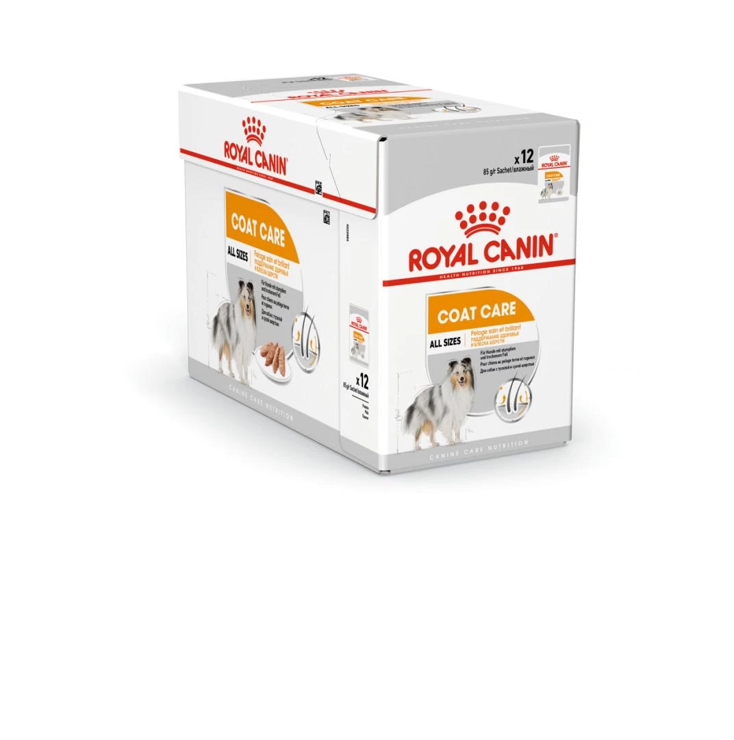 Royal Canin Hondenvoer Coat Care Wet 12 X 85 Gr 1 Royal Canin Hondenvoer Coat Care Wet 12 X 85 Gr