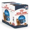 Royal Canin Kattenvoer Ultra Light In Gravy <br>12 X 85 Gr