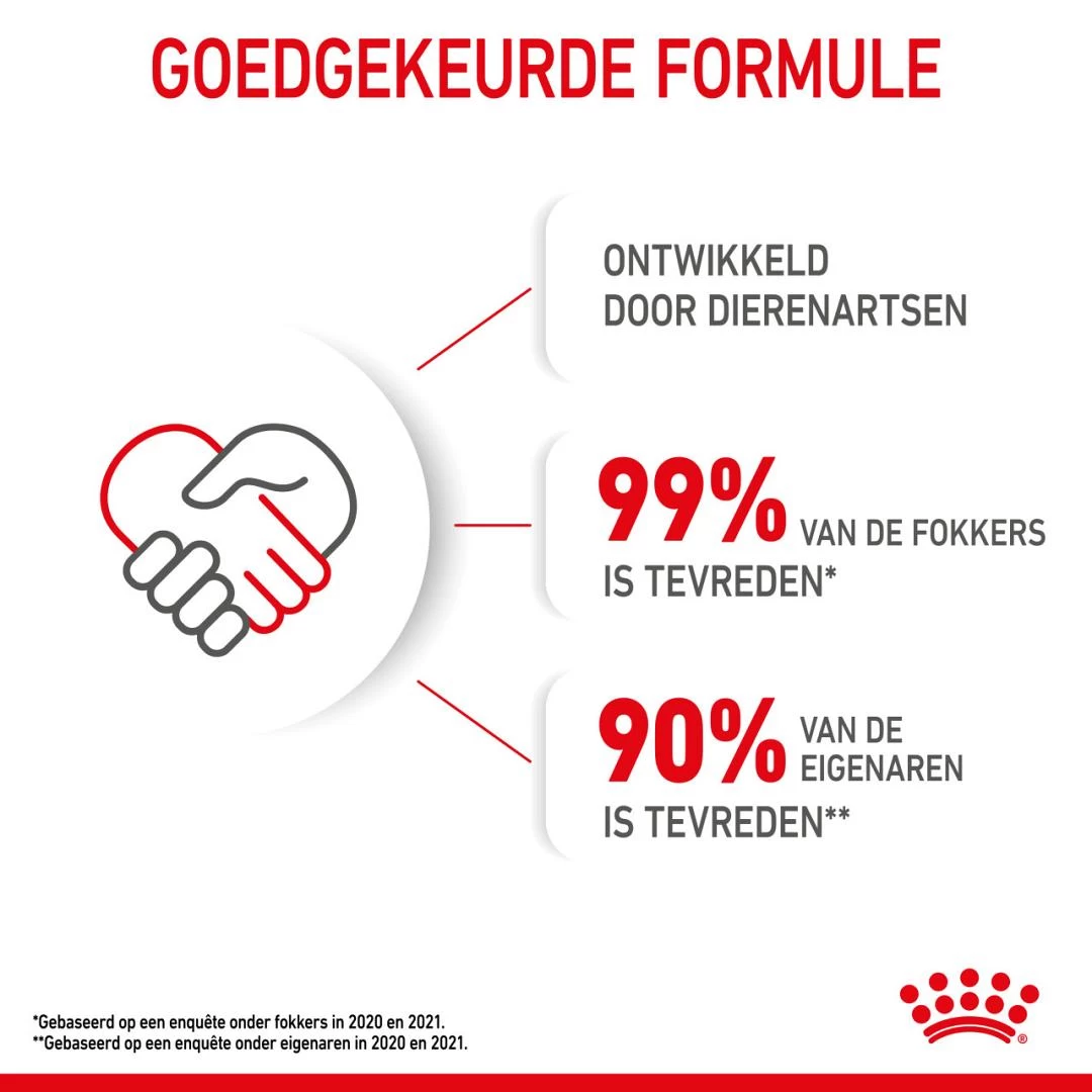 Royal Canin Kattenvoer Kitten 12 X 85 Gr 4 Royal Canin Kattenvoer Kitten 12 X 85 Gr - Afbeelding 4