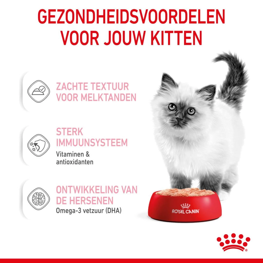 Royal Canin Kattenvoer Kitten 12 X 85 Gr 2 Royal Canin Kattenvoer Kitten 12 X 85 Gr - Afbeelding 2