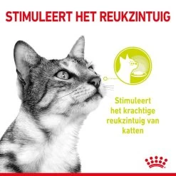 Royal Canin Kattenvoer Sensory Smell In Gravy 12 X 85 Gr -ROYAL CANIN Huisdier RC SPT WET SensSmellCIG CV 1 nl NL