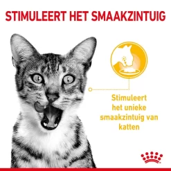 Royal Canin Kattenvoer Sensory Taste In Gravy 12 X 85 Gr -ROYAL CANIN Huisdier RC SPT WET SensTasteCIG CV 1 nl NL