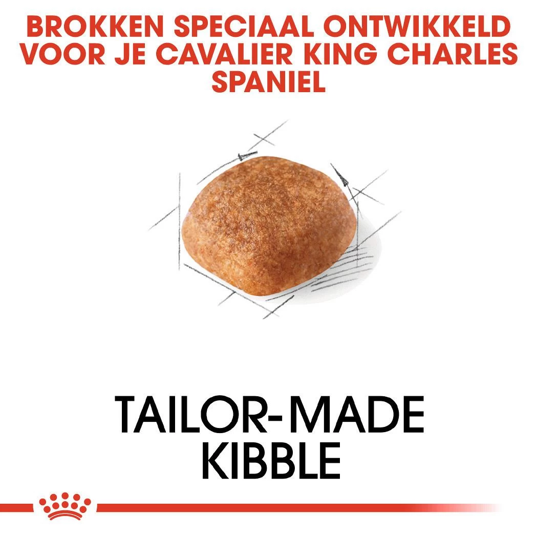 Royal Canin Hondenvoer Cavalier King Charles Adult 3 Kg 2 Royal Canin Hondenvoer Cavalier King Charles Adult 3 Kg - Afbeelding 2