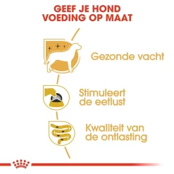 Royal Canin Hondenvoer Yorkshire Terrier Adult 12 X 85 Gr 7 Royal Canin Hondenvoer Yorkshire Terrier Adult 12 X 85 Gr -ROYAL CANIN Huisdier RIVHEA 4