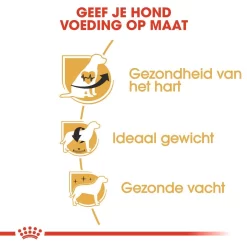 Royal Canin Hondenvoer Cavalier King Charles Adult 1,5 Kg -ROYAL CANIN Huisdier RJ1T49 I 1