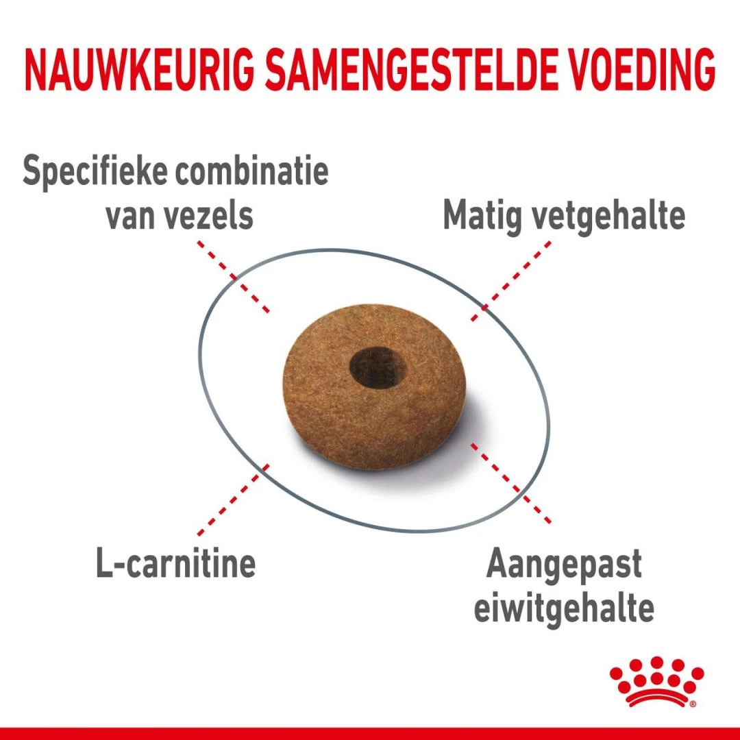 Royal Canin Kattenvoer Appetite Control Care 10 Kg 2 Royal Canin Kattenvoer Appetite Control Care 10 Kg - Afbeelding 2