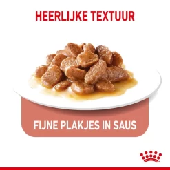 Royal Canin Kattenvoer Appetite Control Care In Gravy 12 X 85 Gr 6 Royal Canin Kattenvoer Appetite Control Care In Gravy 12 X 85 Gr -ROYAL CANIN Huisdier royal canin appetite control care in gravy gesteriliseerd volwassen kat bedelgedrag hero kibble