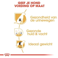 Royal Canin Hondenvoer Bichon Frise Adult 1,5 Kg 5 Royal Canin Hondenvoer Bichon Frise Adult 1,5 Kg -ROYAL CANIN Huisdier royal canin bichon frise adult volwassen hond bichon frise vanaf 10 maanden hero usp