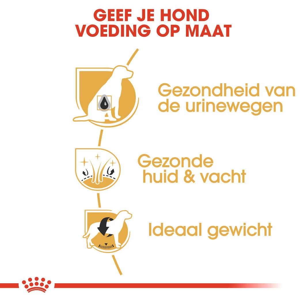 Royal Canin Hondenvoer Bichon Frise Adult 1,5 Kg 3 Royal Canin Hondenvoer Bichon Frise Adult 1,5 Kg - Afbeelding 3