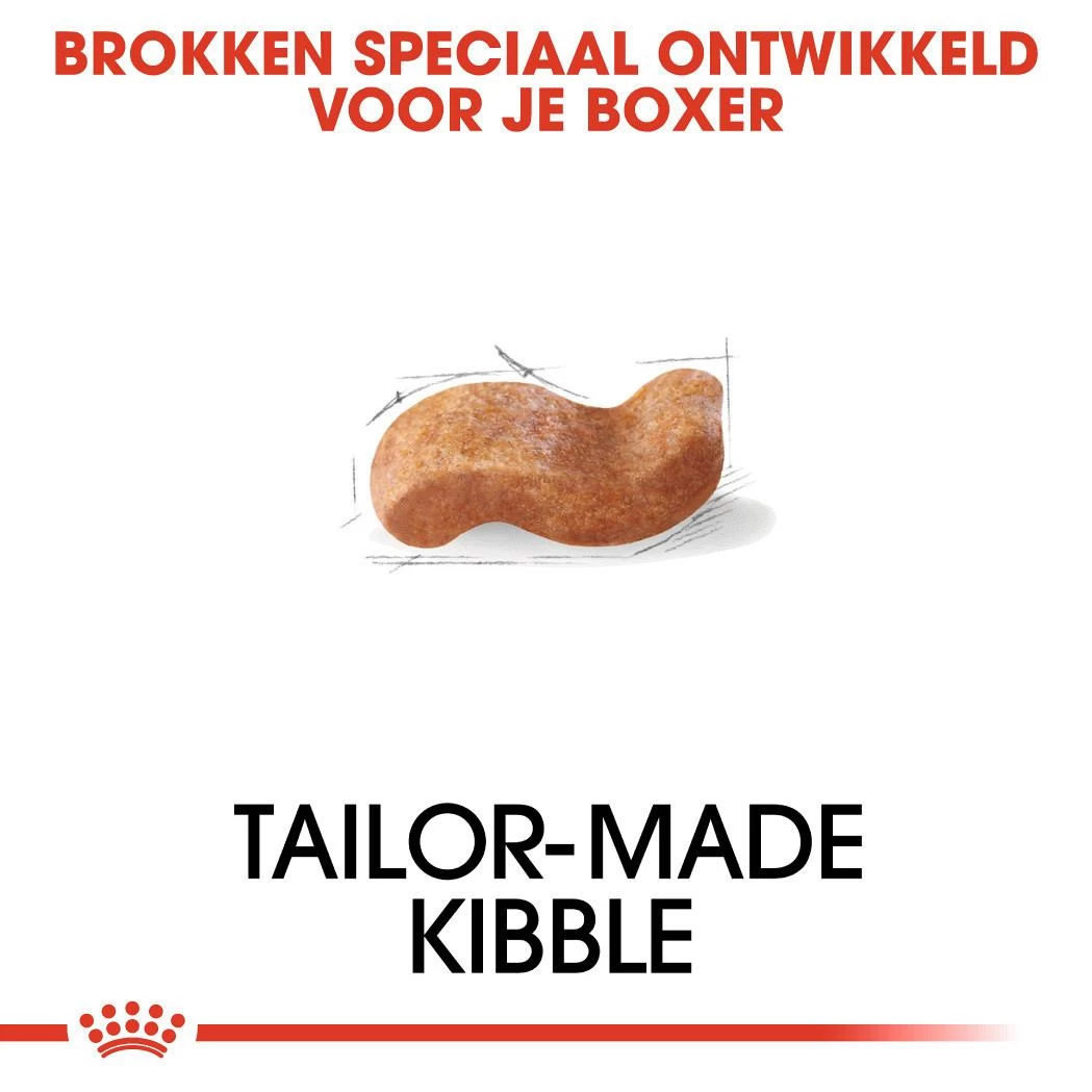 Royal Canin Hondenvoer Boxer Adult 3 Kg 2 Royal Canin Hondenvoer Boxer Adult 3 Kg - Afbeelding 2