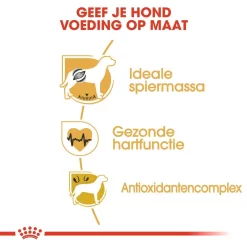 Royal Canin Hondenvoer Boxer Adult 3 Kg 5 Royal Canin Hondenvoer Boxer Adult 3 Kg -ROYAL CANIN Huisdier royal canin boxer adult volwassen hond boxer vanaf 15 maanden hero usp
