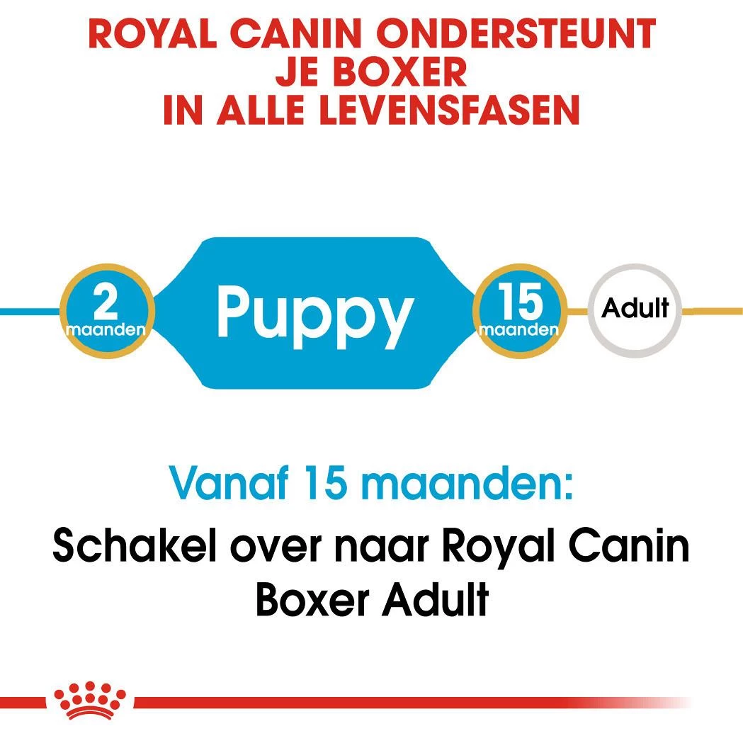 Royal Canin Hondenvoer Boxer Puppy 3 Kg 4 Royal Canin Hondenvoer Boxer Puppy 3 Kg - Afbeelding 4