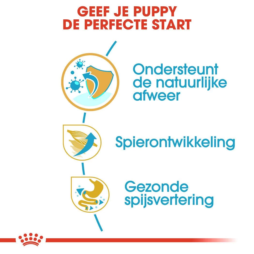 Royal Canin Hondenvoer Boxer Puppy 3 Kg 3 Royal Canin Hondenvoer Boxer Puppy 3 Kg - Afbeelding 3