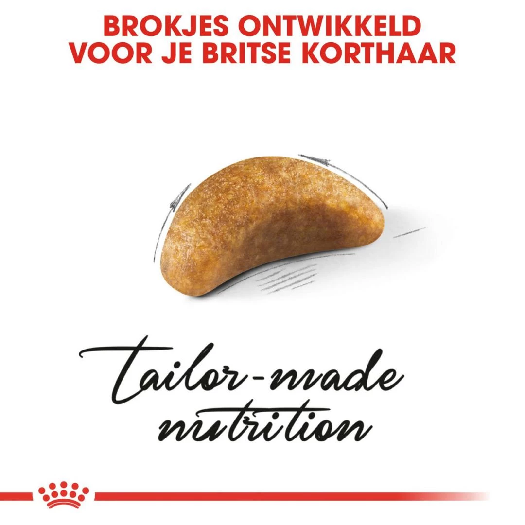 Royal Canin Kattenvoer British Shorthair Kitten 2 Kg 2 Royal Canin Kattenvoer British Shorthair Kitten 2 Kg - Afbeelding 2