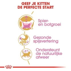 Royal Canin Kattenvoer British Shorthair Kitten 2 Kg 6 Royal Canin Kattenvoer British Shorthair Kitten 2 Kg -ROYAL CANIN Huisdier royal canin british shorthair kitten kitten kat brits korthaar hero usp