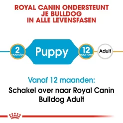 Royal Canin Hondenvoer Bulldog Puppy 12 Kg -ROYAL CANIN Huisdier royal canin bulldog junior pup hond bulldog hero image 9