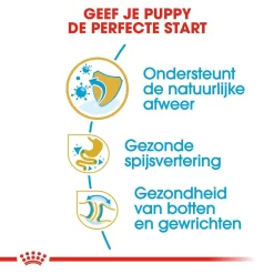 Royal Canin Hondenvoer Bulldog Puppy 12 Kg -ROYAL CANIN Huisdier royal canin bulldog junior pup hond bulldog hero usp