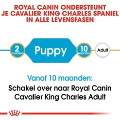 Royal Canin Hondenvoer Cavalier King Charles Puppy 1,5 Kg 7 Royal Canin Hondenvoer Cavalier King Charles Puppy 1,5 Kg -ROYAL CANIN Huisdier royal canin cavalier king charles junior pup hond cavalier king charles hero image 9