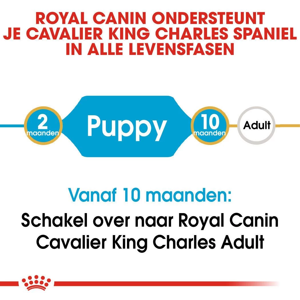 Royal Canin Hondenvoer Cavalier King Charles Puppy 1,5 Kg 4 Royal Canin Hondenvoer Cavalier King Charles Puppy 1,5 Kg - Afbeelding 4