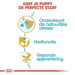 Royal Canin Hondenvoer Cavalier King Charles Puppy 1,5 Kg 6 Royal Canin Hondenvoer Cavalier King Charles Puppy 1,5 Kg -ROYAL CANIN Huisdier royal canin cavalier king charles junior pup hond cavalier king charles hero usp