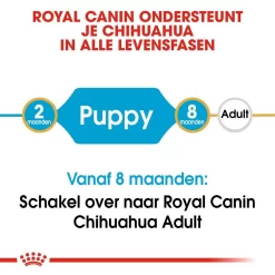 Royal Canin Hondenvoer Chihuahua Puppy 1,5 Kg 7 Royal Canin Hondenvoer Chihuahua Puppy 1,5 Kg -ROYAL CANIN Huisdier royal canin chihuahua junior pup hond chihuahua hero image 9