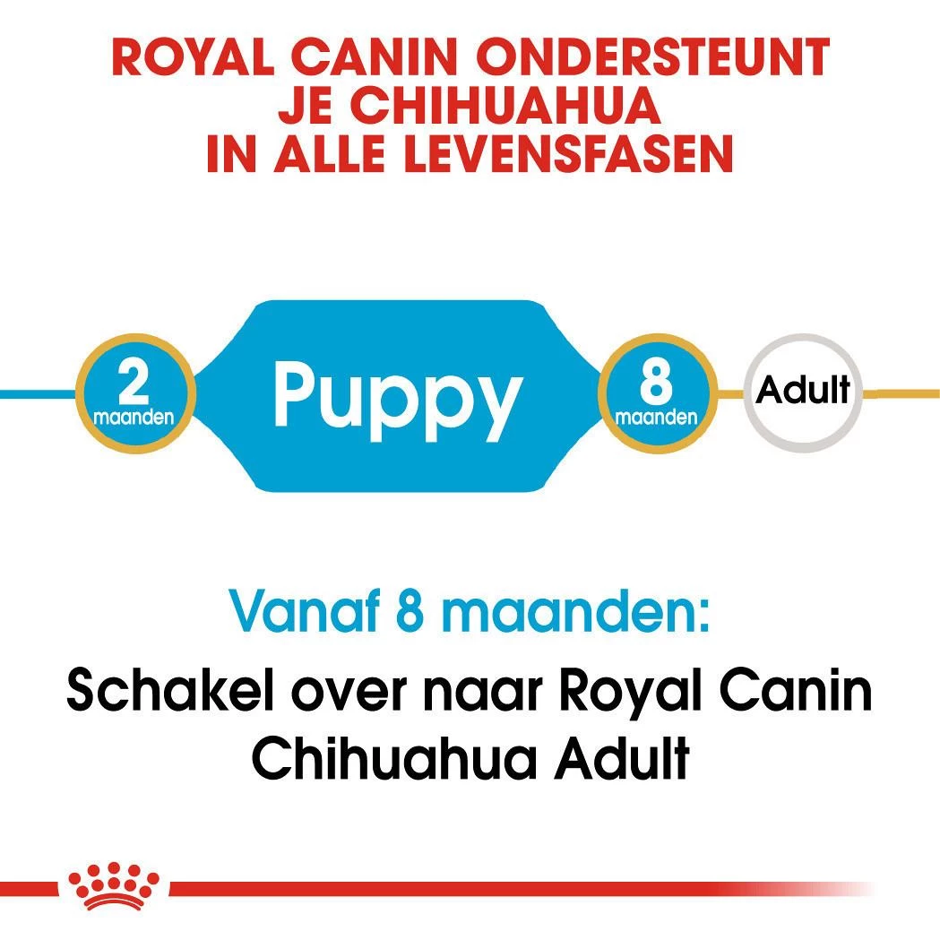 Royal Canin Hondenvoer Chihuahua Puppy 1,5 Kg 4 Royal Canin Hondenvoer Chihuahua Puppy 1,5 Kg - Afbeelding 4
