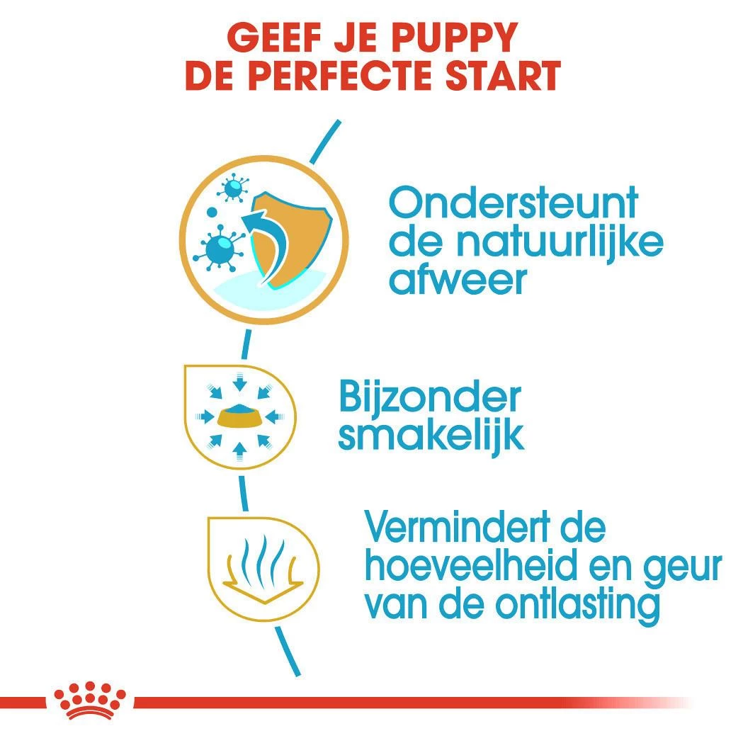 Royal Canin Hondenvoer Chihuahua Puppy 1,5 Kg 3 Royal Canin Hondenvoer Chihuahua Puppy 1,5 Kg - Afbeelding 3