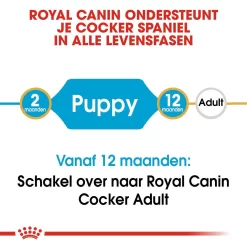 Royal Canin Hondenvoer Cocker Puppy 3 Kg 7 Royal Canin Hondenvoer Cocker Puppy 3 Kg -ROYAL CANIN Huisdier royal canin cocker junior pup hond cocker hero image 9
