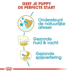 Royal Canin Hondenvoer Cocker Puppy 3 Kg 6 Royal Canin Hondenvoer Cocker Puppy 3 Kg -ROYAL CANIN Huisdier royal canin cocker junior pup hond cocker hero usp