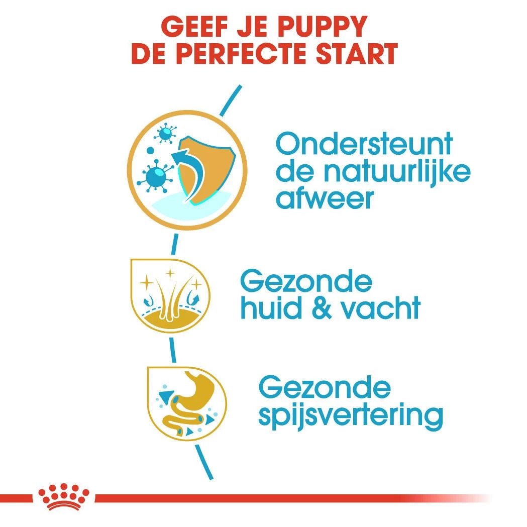 Royal Canin Hondenvoer Cocker Puppy 3 Kg 3 Royal Canin Hondenvoer Cocker Puppy 3 Kg - Afbeelding 3
