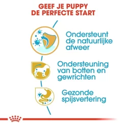Royal Canin Hondenvoer Dachshund Puppy 1,5 Kg 6 Royal Canin Hondenvoer Dachshund Puppy 1,5 Kg -ROYAL CANIN Huisdier royal canin dachshund junior pup hond teckel hero usp