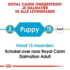 Royal Canin Hondenvoer Dalmatian Puppy 12 Kg 7 Royal Canin Hondenvoer Dalmatian Puppy 12 Kg -ROYAL CANIN Huisdier royal canin dalmatian junior pup hond dalmatier hero image 9