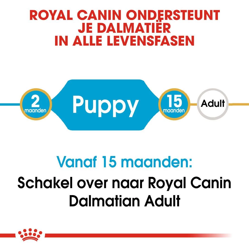 Royal Canin Hondenvoer Dalmatian Puppy 12 Kg 4 Royal Canin Hondenvoer Dalmatian Puppy 12 Kg - Afbeelding 4