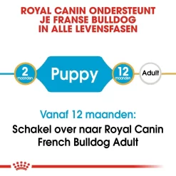 Royal Canin Hondenvoer French Bulldog Puppy 10 Kg 7 Royal Canin Hondenvoer French Bulldog Puppy 10 Kg -ROYAL CANIN Huisdier royal canin french bulldog junior pup hond franse bulldog hero image 9 1