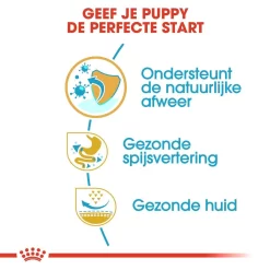 Royal Canin Hondenvoer French Bulldog Puppy 3 Kg 6 Royal Canin Hondenvoer French Bulldog Puppy 3 Kg -ROYAL CANIN Huisdier royal canin french bulldog junior pup hond franse bulldog hero usp
