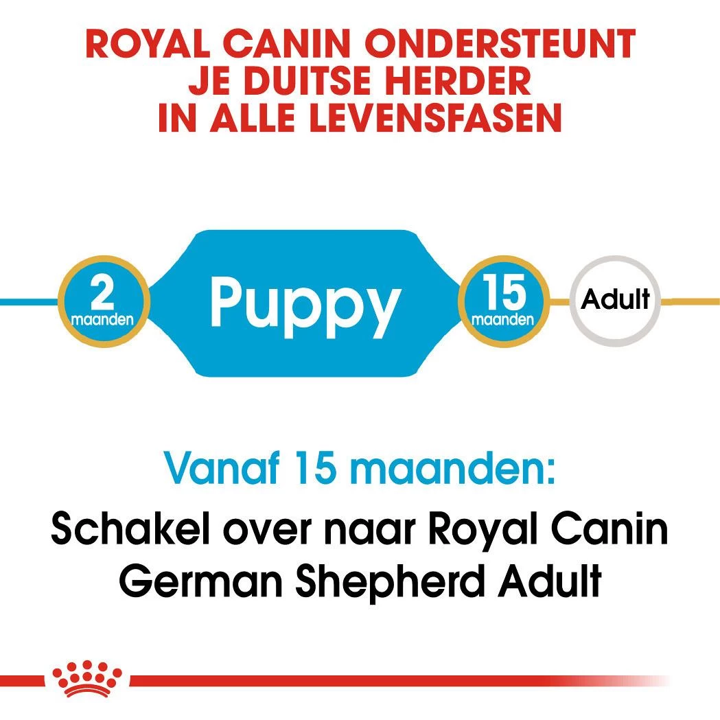 Royal Canin Hondenvoer German Shepherd Puppy 3 Kg 4 Royal Canin Hondenvoer German Shepherd Puppy 3 Kg - Afbeelding 4