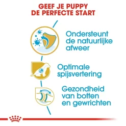 Royal Canin Hondenvoer German Shepherd Puppy 3 Kg 6 Royal Canin Hondenvoer German Shepherd Puppy 3 Kg -ROYAL CANIN Huisdier royal canin german shepherd junior pup hond duitse herder hero usp 1
