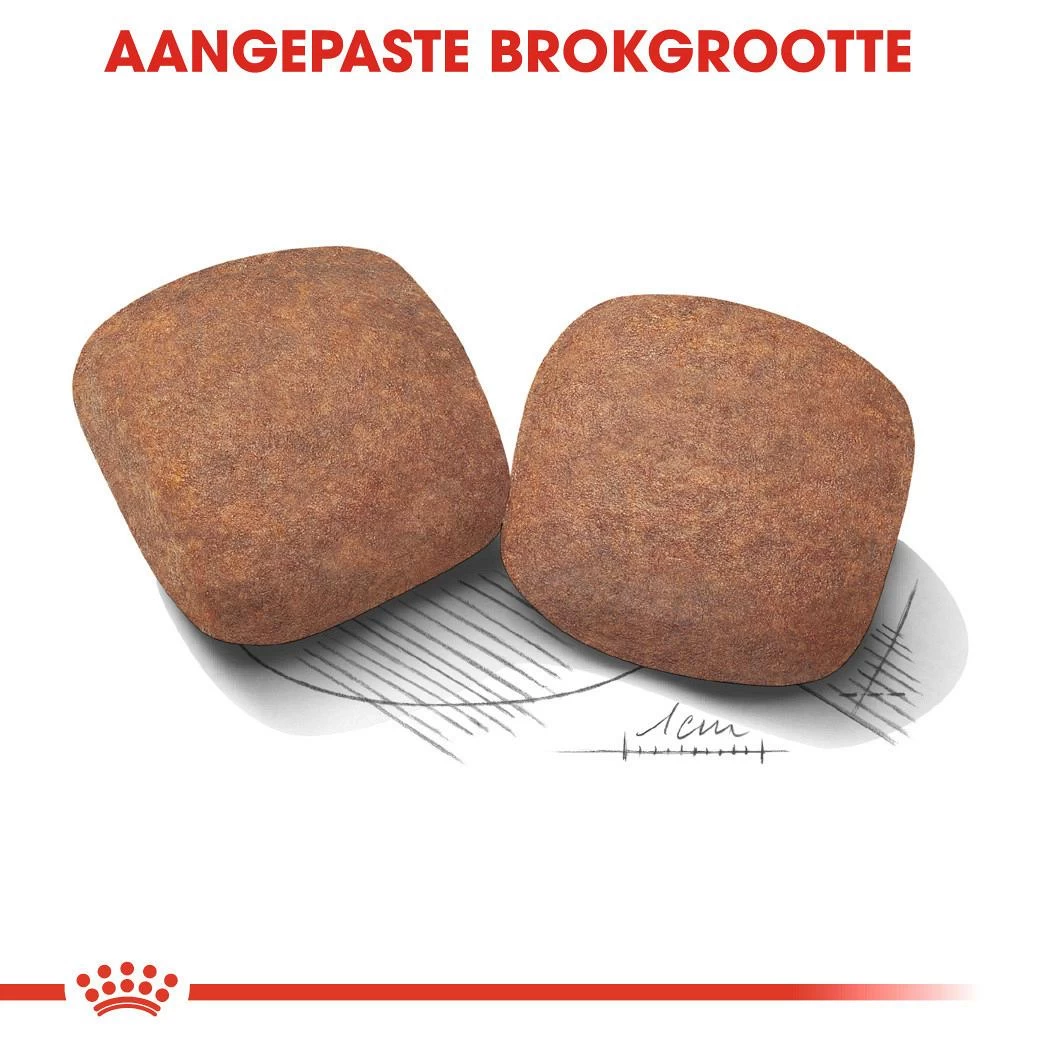 Royal Canin Hondenvoer Giant Adult 4 Kg 2 Royal Canin Hondenvoer Giant Adult 4 Kg - Afbeelding 2