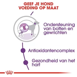 Royal Canin Hondenvoer Giant Adult 15 Kg 5 Royal Canin Hondenvoer Giant Adult 15 Kg -ROYAL CANIN Huisdier royal canin giant adult volwassen hond zeer grote hondenrassen hero usp 1