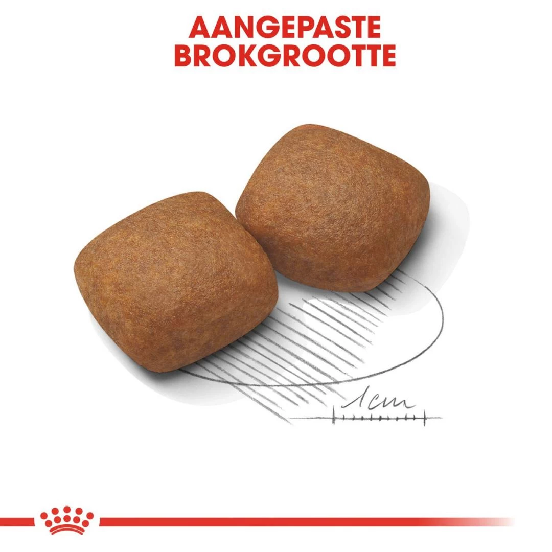 Royal Canin Hondenvoer Giant Junior 3,5 Kg 2 Royal Canin Hondenvoer Giant Junior 3,5 Kg - Afbeelding 2