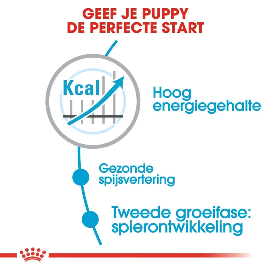 Royal Canin Hondenvoer Giant Junior 3,5 Kg 3 Royal Canin Hondenvoer Giant Junior 3,5 Kg - Afbeelding 3