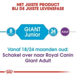 Royal Canin Hondenvoer Giant Junior 15 Kg 7 Royal Canin Hondenvoer Giant Junior 15 Kg -ROYAL CANIN Huisdier royal canin giant junior pup hond zeer grote hondenrassen hero image 8
