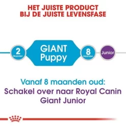 Royal Canin Hondenvoer Giant Puppy 15 Kg 7 Royal Canin Hondenvoer Giant Puppy 15 Kg -ROYAL CANIN Huisdier royal canin giant puppy pup hond zeer grote hondenrassen hero image 8