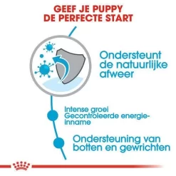 Royal Canin Hondenvoer Giant Puppy 3,5 Kg 5 Royal Canin Hondenvoer Giant Puppy 3,5 Kg -ROYAL CANIN Huisdier royal canin giant puppy pup hond zeer grote hondenrassen hero usp 1